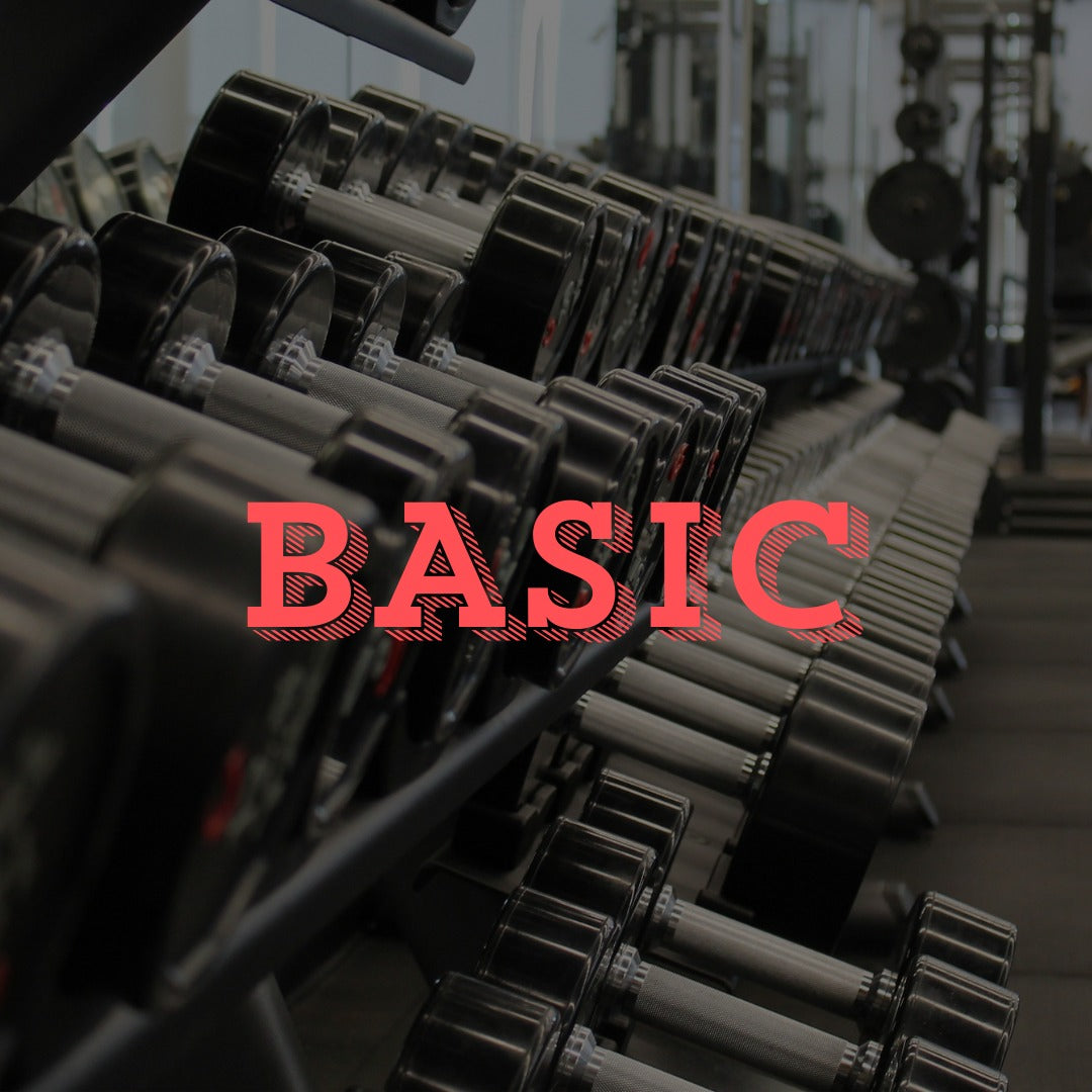 Basic | 1